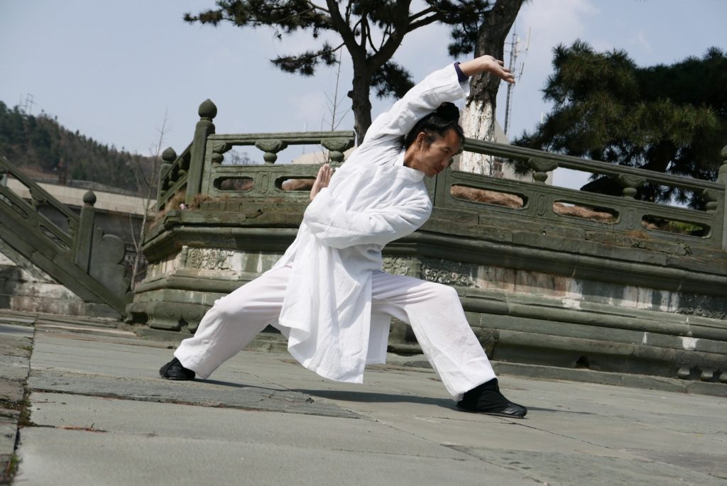 kung fu Bát Quái Chưởng