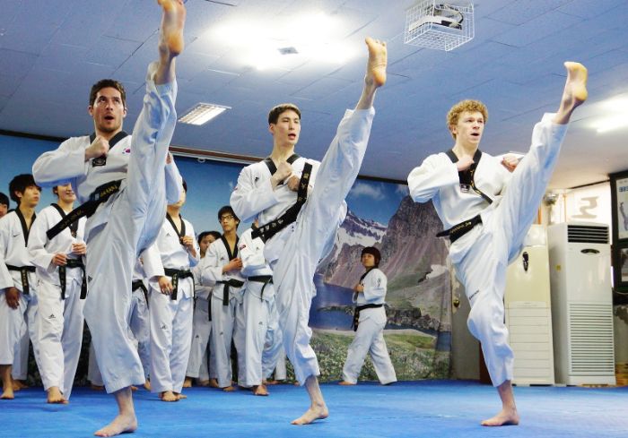 võ thuật teakwondo